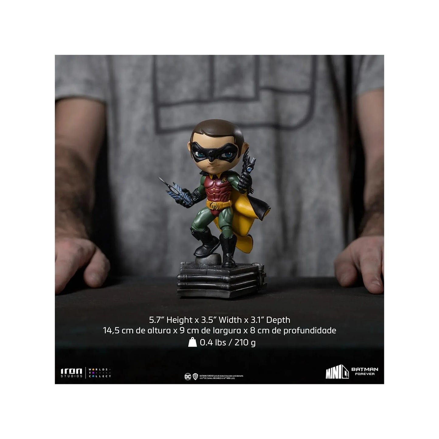Statue Robin - Batman Forever - MiniCo - Iron Studios