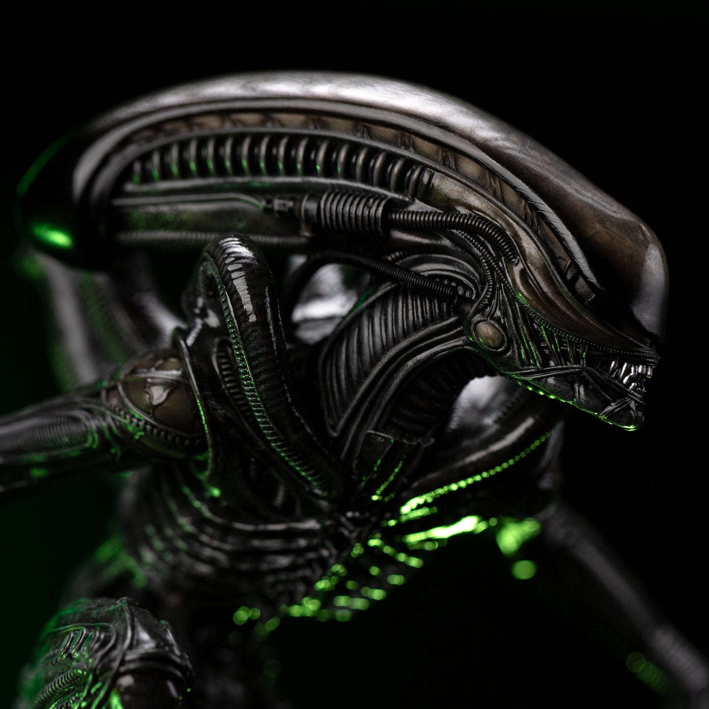 Alien Big Chap art scale 1/10