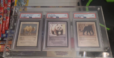 3 SLOTS ACRYLIC FOR P.S.A GRADING CARDS - PHOENIX SHIELD