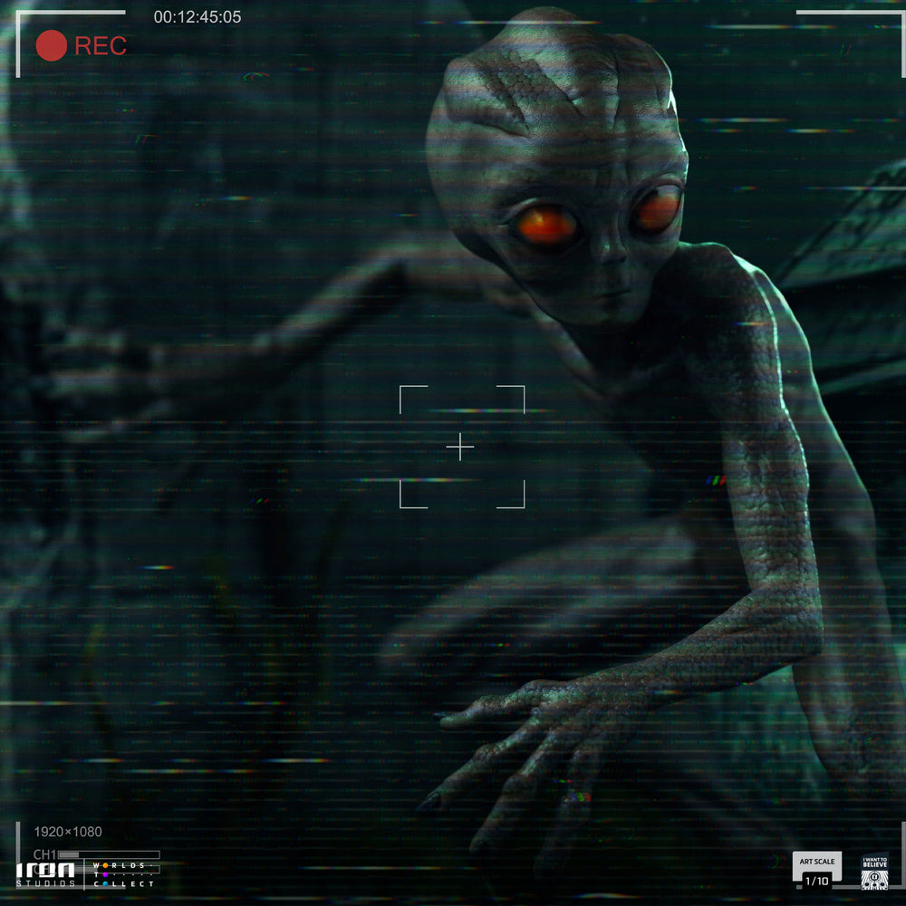 Statue ET Varginha - I Want to Believe - Art Scale 1/10 - Iron Studios