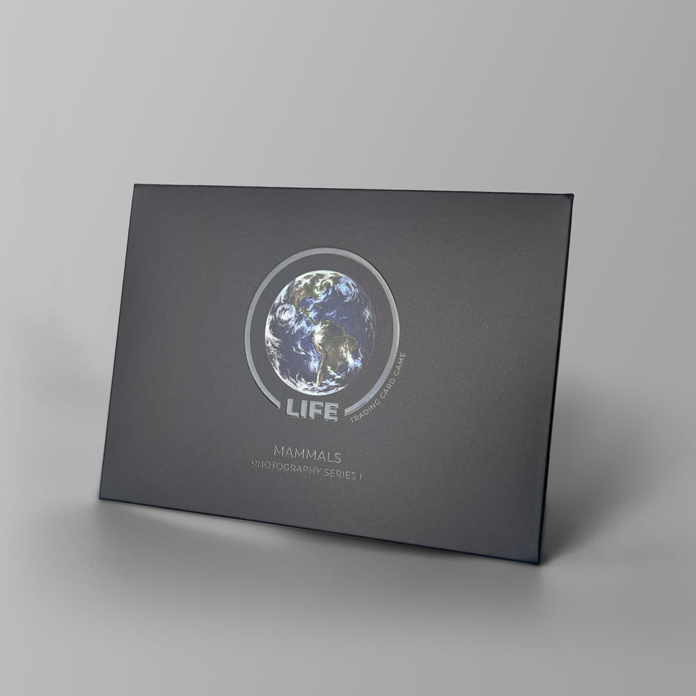 Promo life tcg zebra (zèbre)