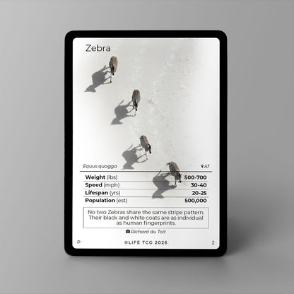 Promo life tcg zebra (zèbre)