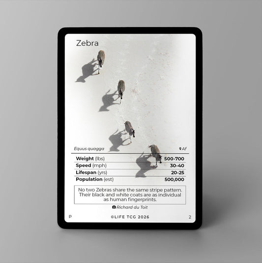 Promo life tcg zebra (zèbre)
