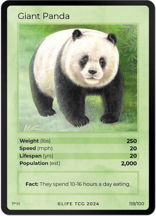Holo Giant panda 118/100