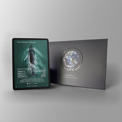 Promo life tcg humpback whale (baleine à bosse)